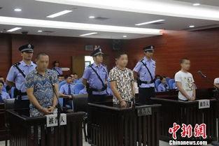 广西防城港爆料案件最新,案情揭秘，警方全力侦破中”