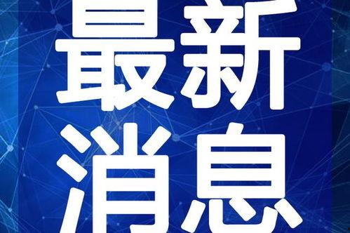 浙江乞丐爆料视频最新版,真实生活背后的辛酸与无奈